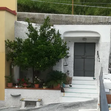 Il Covo Delle Civette B&B